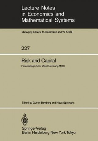 Kniha Risk and Capital G. Bamberg