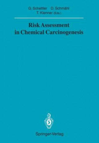 Kniha Risk Assessment in Chemical Carcinogenesis Thomas Klenner