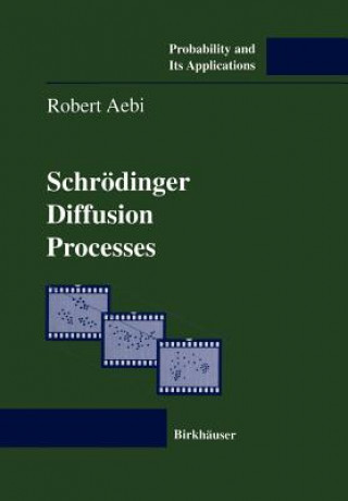 Könyv Schroedinger Diffusion Processes Robert Aebi