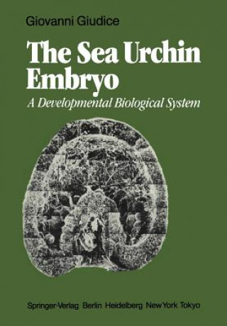 Kniha Sea Urchin Embryo Giovanni Giudice
