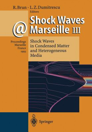 Buch Shock Waves @ Marseille III Raymond Brun