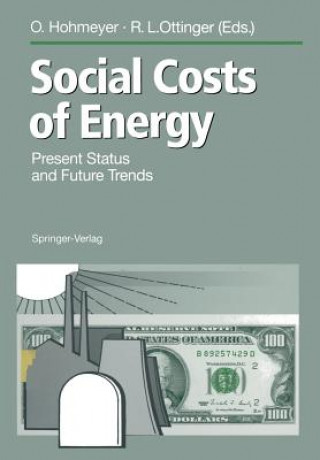 Книга Social Costs of Energy Olav Hohmeyer