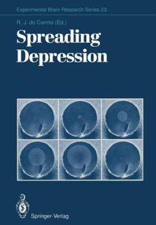 Buch Spreading Depression Romualdo J. Docarmo