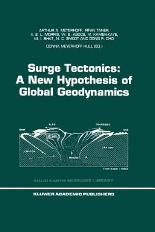 Livre Surge Tectonics: A New Hypothesis of Global Geodynamics Choi