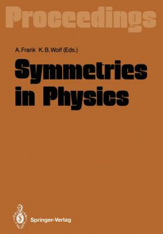 Könyv Symmetries in Physics Alejandro Frank