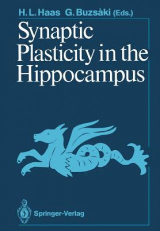 Könyv Synaptic Plasticity in the Hippocampus György Buzsaki