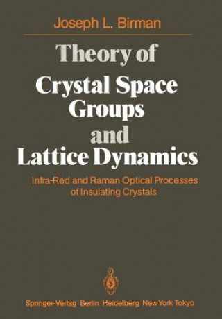 Kniha Theory of Crystal Space Groups and Lattice Dynamics J. L. Birman