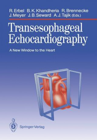 Buch Transesophageal Echocardiography Rüdiger Brennecke