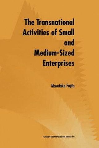 Buch Transnational Activities of Small and Medium-Sized Enterprises Masataka Fujita