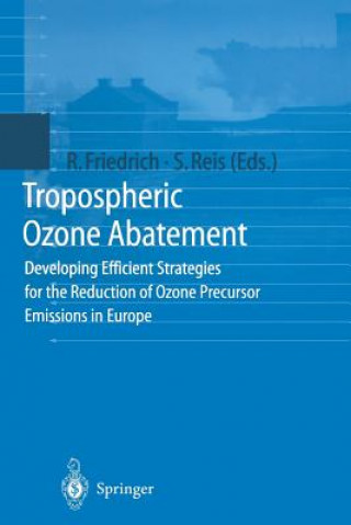Könyv Tropospheric Ozone Abatement Rainer Friedrich