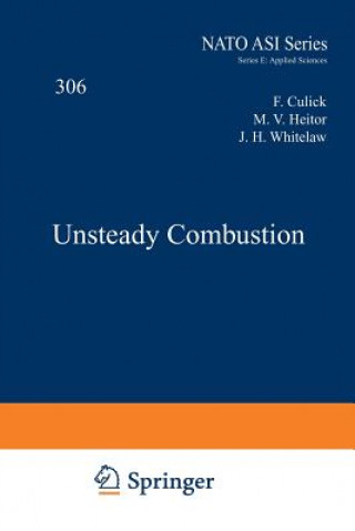 Carte Unsteady Combustion F. Culick