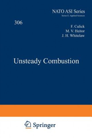 Книга Unsteady Combustion F. Culick