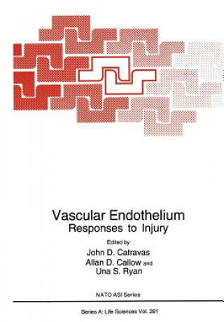 Kniha Vascular Endothelium Allan D. Callow