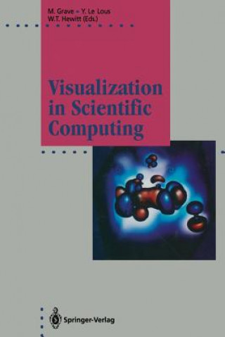 Knjiga Visualization in Scientific Computing Michel Grave