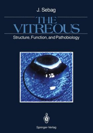 Kniha Vitreous J. Sebag