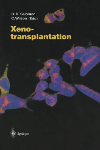 Kniha Xenotransplantation Daniel R. Salomon