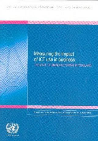 Kniha Measuring the Impact of ICT Use in Business Thailand National Statistical Office