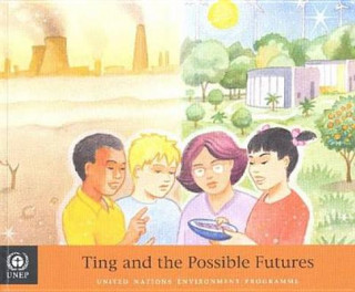 Könyv Ting and the Possible Futures United Nations Environment Programme