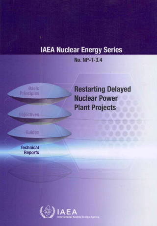 Buch Restarting Delayed Nuclear Plant Projects International Atomic Energy Agency