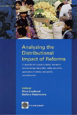 Knjiga Analyzing the Distributional Impact of Reforms, Volume One Aline Coudouel