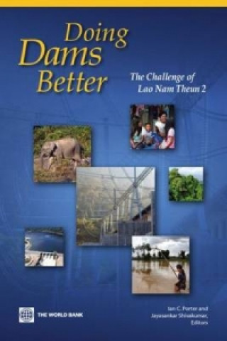 Könyv Doing A Dam Better Jayasankar Shivakumar
