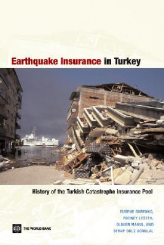 Könyv Earthquake Insurance in Turkey Serap Oguz Gonulal