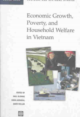 Książka Economic Growth, Poverty, and Household Welfare in Vietnam David Dollar