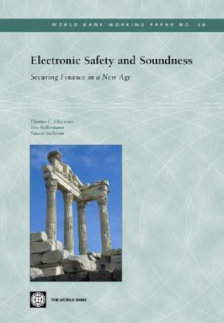 Buch ELECTRONIC SAFETY AND SOUNDNESS-SECURING FINANCE IN A NEW AGE Valerie McNevin