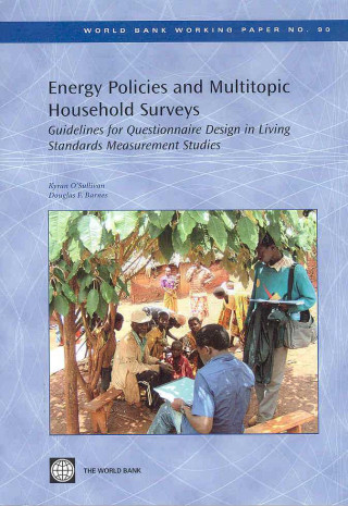 Kniha Energy Policies and Multitopic Household Surveys Douglas F. Barnes