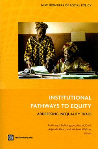 Kniha Institutional Pathways to Equity 