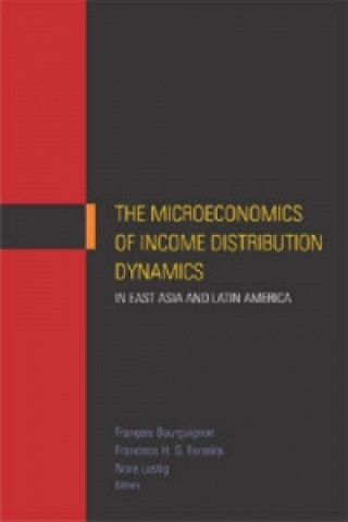 Kniha Microeconomics of Income Distribution Dynamics in East Asia and Latin America 
