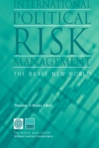 Könyv International Political Risk Management, Volume 2 
