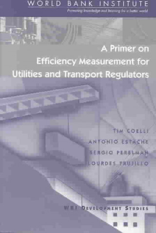 Kniha Primer on Efficiency Measurement for Utilities and Transport Regulators et al