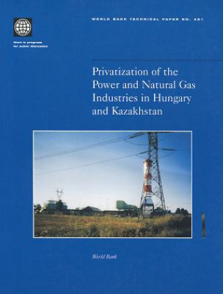 Kniha Privatization of the Power and Natural Gas Industries in Hungary and Kazakhstan World Bank