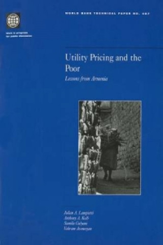 Kniha Utility Pricing and the Poor World Bank