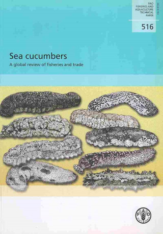 Kniha Sea Cucumbers Food and Agriculture Organization of the United Nations