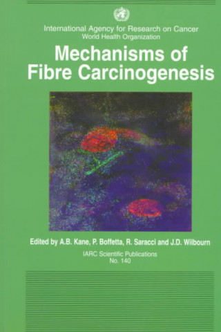 Kniha Machanisms of Fibre Carcinogenesis 