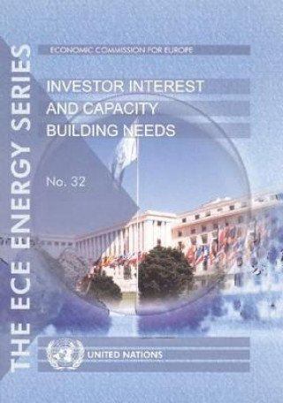 Könyv Investor Interest and Capacity Building Needs (Report) United Nations: Economic Commission for Europe