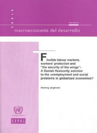 Könyv Flexible Labour Markets Workers Protection and the Security of the Wings United Nations