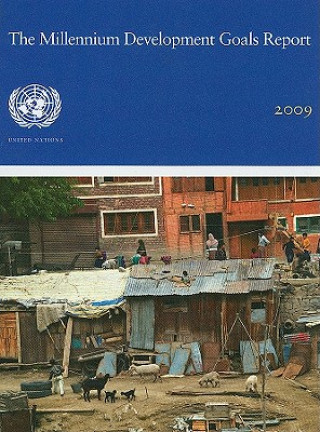 Βιβλίο Millennium Development Goals Report United Nations