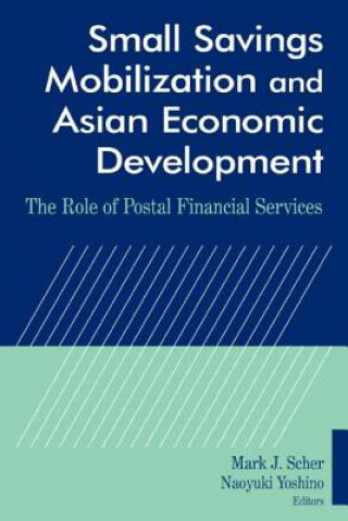 Kniha Small Savings Mobilization and Asian Economic Development Mark J. Scher