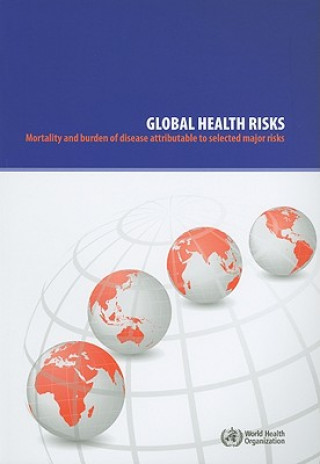 Carte Global Health Risks World Health Organization