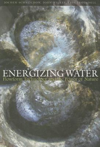 Kniha Energizing Water Iain Trousdell