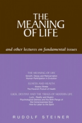 Kniha Meaning of Life and Other Lectures on Fundamental Issues Rudolf Steiner