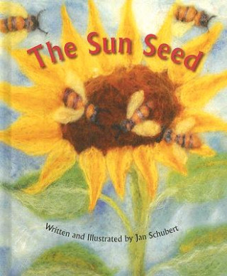 Kniha Sun Seed Jan Schubert