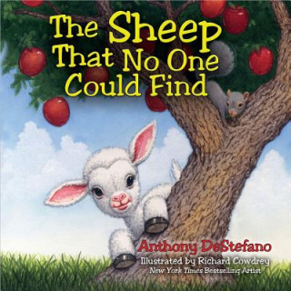 Könyv Sheep That No One Could Find Anthony DeStefano