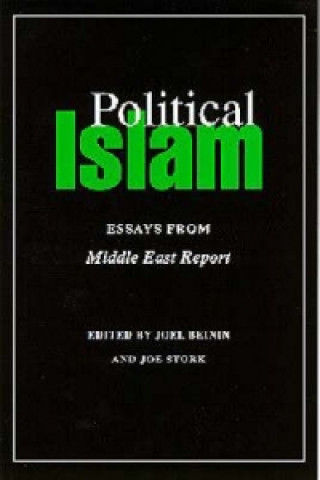 Kniha Political Islam 