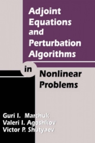 Kniha Adjoint Equations and Perturbation Algorithms in Nonlinear Problems V.P. Shutyaev