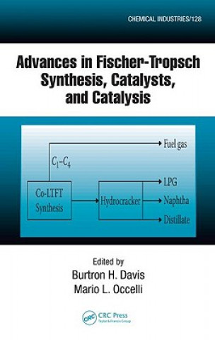 Carte Advances in Fischer-Tropsch Synthesis, Catalysts, and Catalysis 
