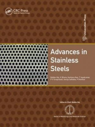 Könyv Advances in Stainless Steels Baldev Raj